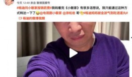 兜妈被爆料的视频,揭秘背后真相与争议