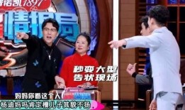 营销号爆料杨迪视频播放,营销号爆料背后真相揭秘