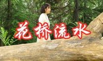 爆料花桥流水视频,揭秘古桥之美，探寻历史记忆