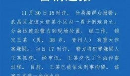 高校教师爆料视频大全,揭秘教育行业背后的真相