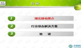 娱乐爆料模板教程,明星幕后故事大曝光！