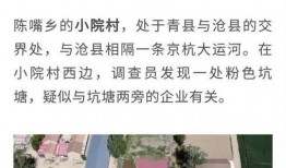 天津爆料小哥被抓了视频,天津爆料小哥被捕事件回顾
