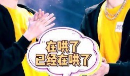 文轩爆料刘大锤视频,文轩爆料背后真相揭秘