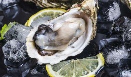 爆料生蚝海鲜吃货视频大全,海鲜吃货视频大全精选
