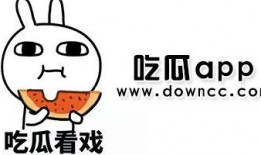 网红吃瓜黑料污,吃瓜黑料污背后的真相与反思