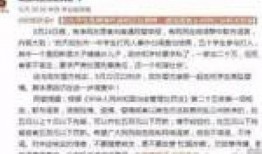 岑溪新闻爆料事件始末最新消息,最新进展与始末回顾