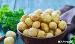 来看我吧在线观看土豆,揭秘“根据来看我吧”幕后故事