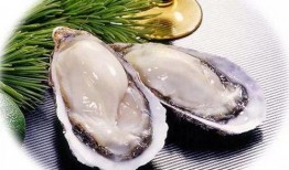 爆料生蚝海鲜吃货视频大全,海鲜吃货视频大全精选