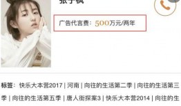 娱乐圈爆料费,揭秘明星背后的真实故事