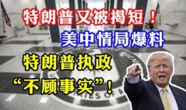 cia最新爆料,揭秘神秘情报行动内幕